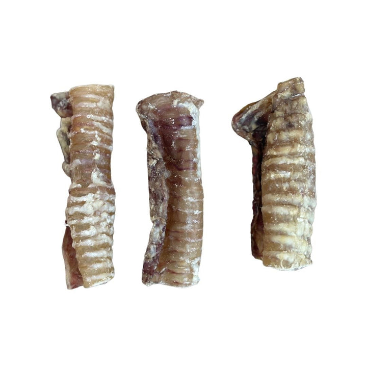 Paddock Farm Beef Trachea 12cm 1KG
