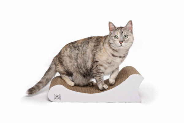 M-PETS Wichita Scratch Board Cat