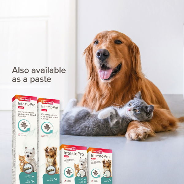 Beaphar Intestopro Prebiotic Stool Firming Tablets For Cats & Small Dogs (1-20Kg) - 20 Tabs