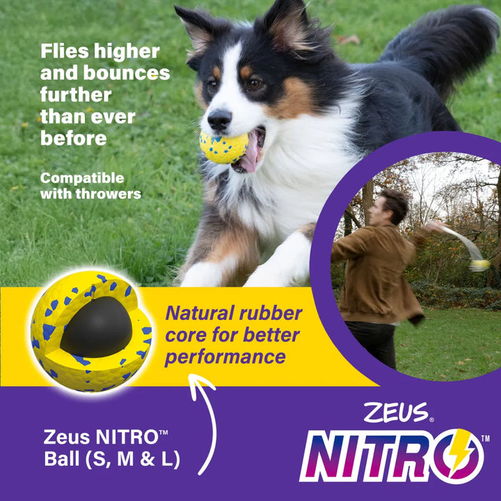 Zeus Nitro Weighted Ball