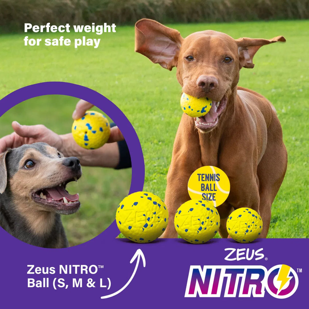 Zeus Nitro Weighted Ball