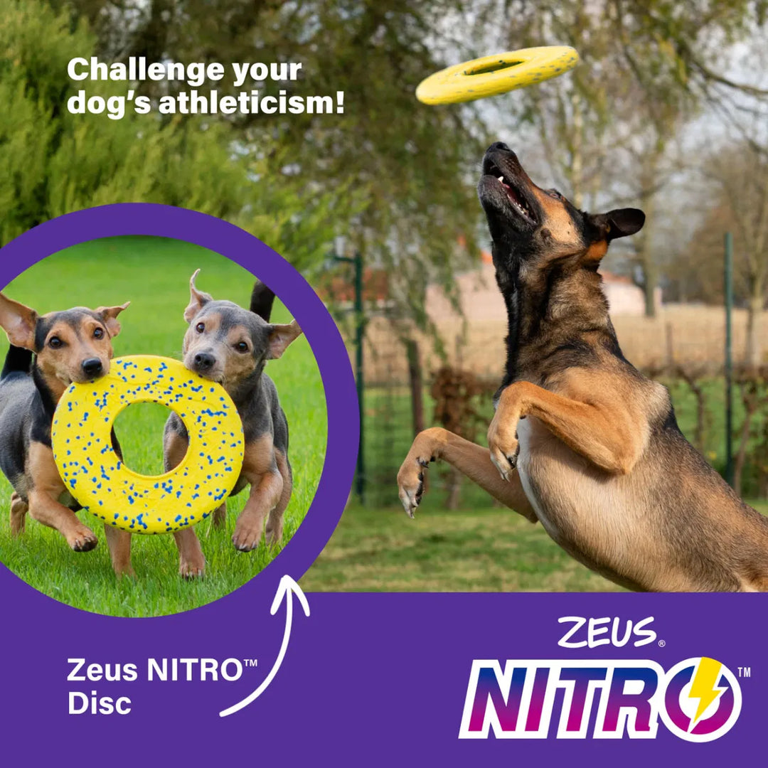 Zeus Nitro Flying Disc 24cm