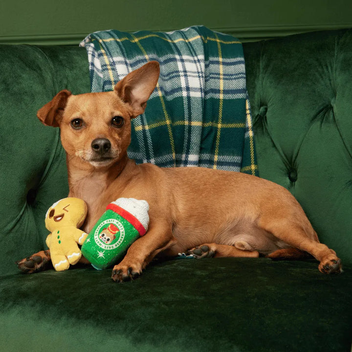 BARK Xmas Ginger Boy Brew Plush 2PK