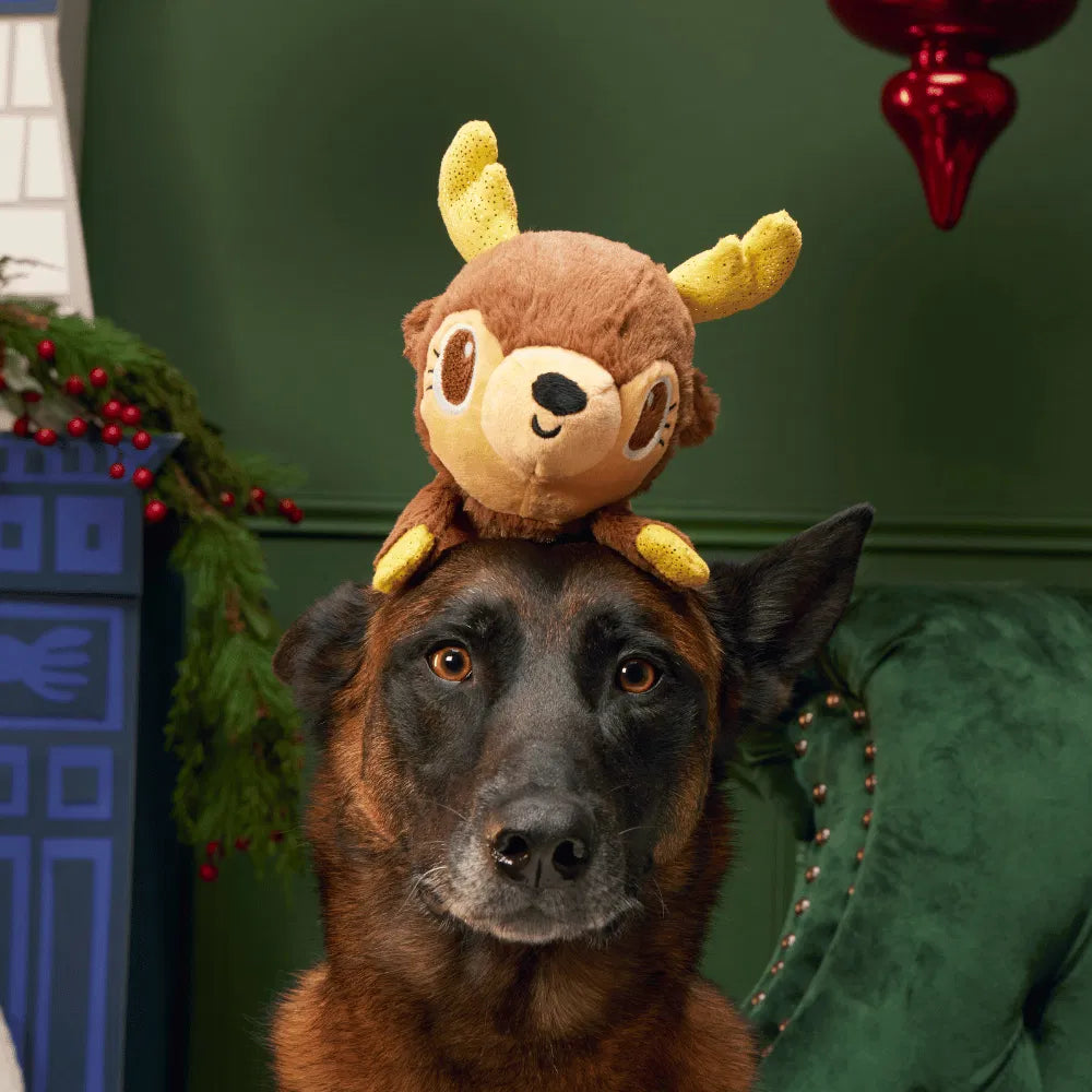 BARK Xmas Splootolph Plush Toy