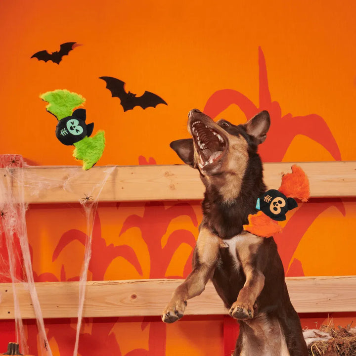 BARK Halloween Flutter &amp; Fang Single
