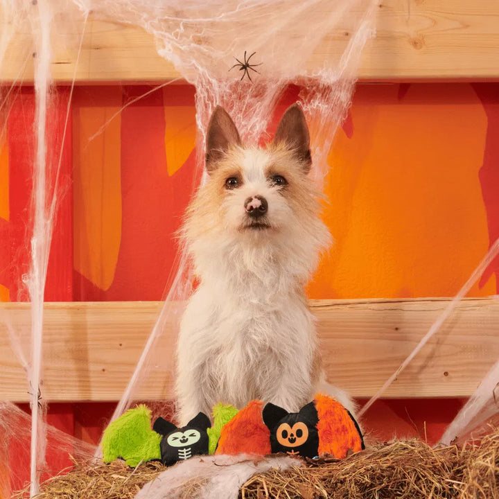 BARK Halloween Flutter &amp; Fang Single