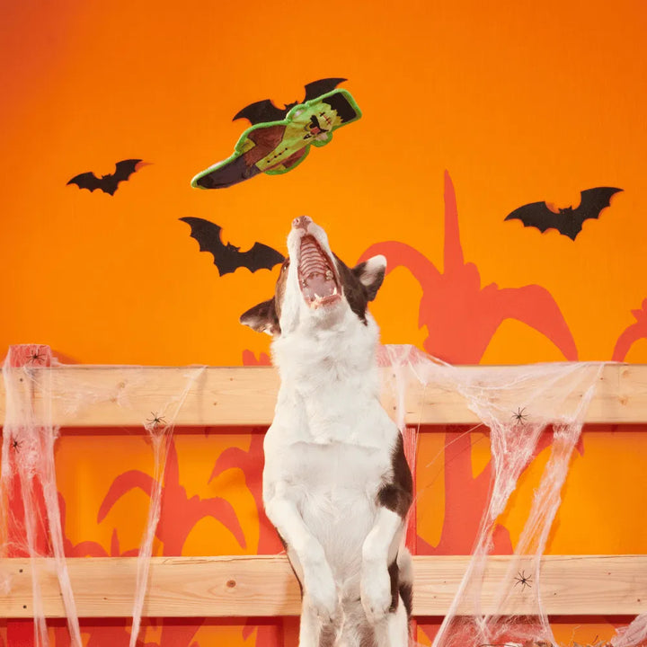 BARK Halloween Frankensteins Muttster Single