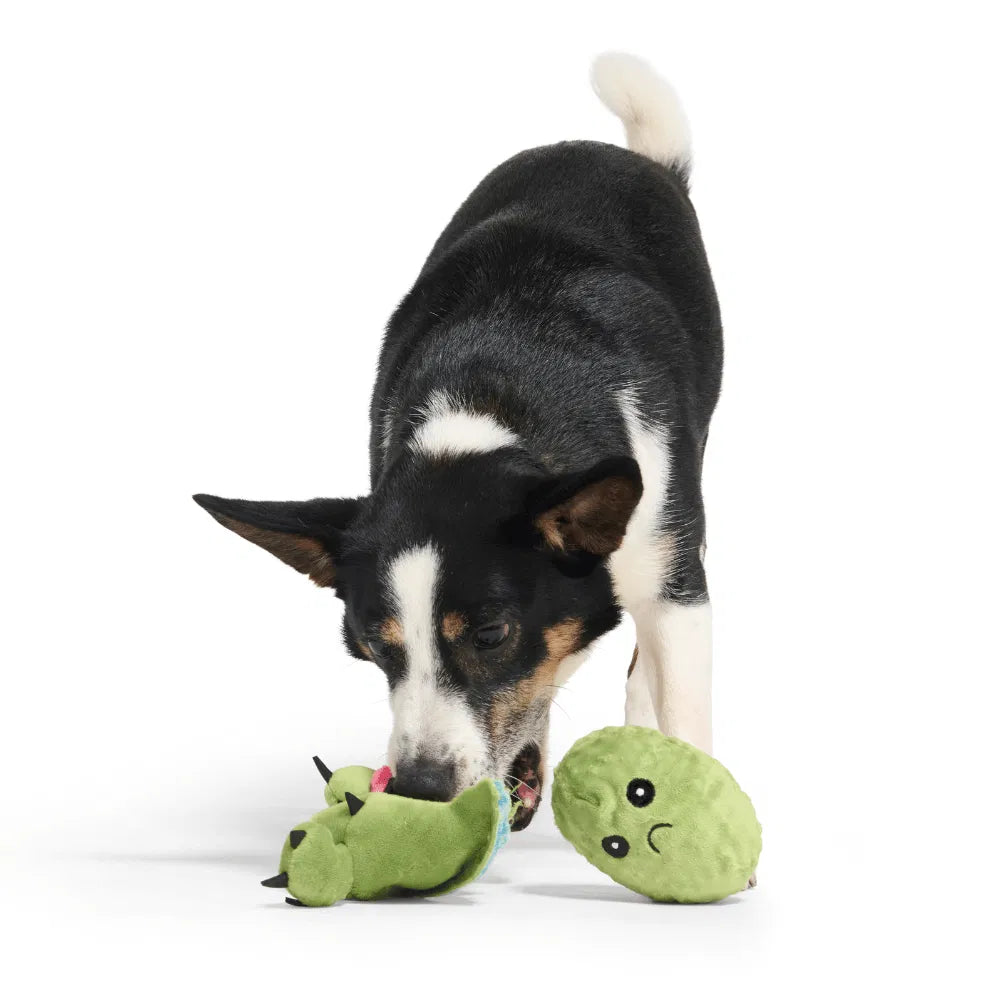 BARK Consuela The Cactus Dog Toy