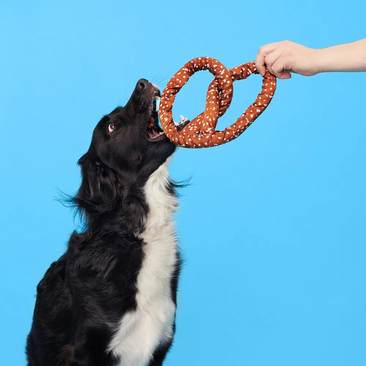 BARK Paulas Park Slope Pretzel Dog Toy