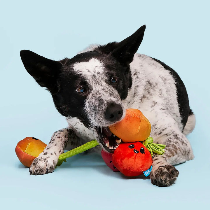 BARK Hairloom Tomatoes Dog Toy