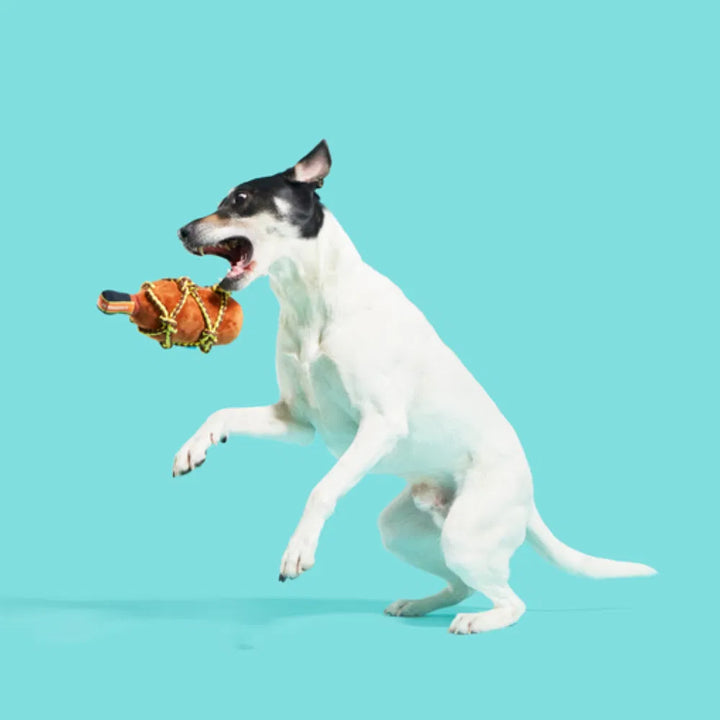 BARK BARKbeard''S Rum Dog Toy