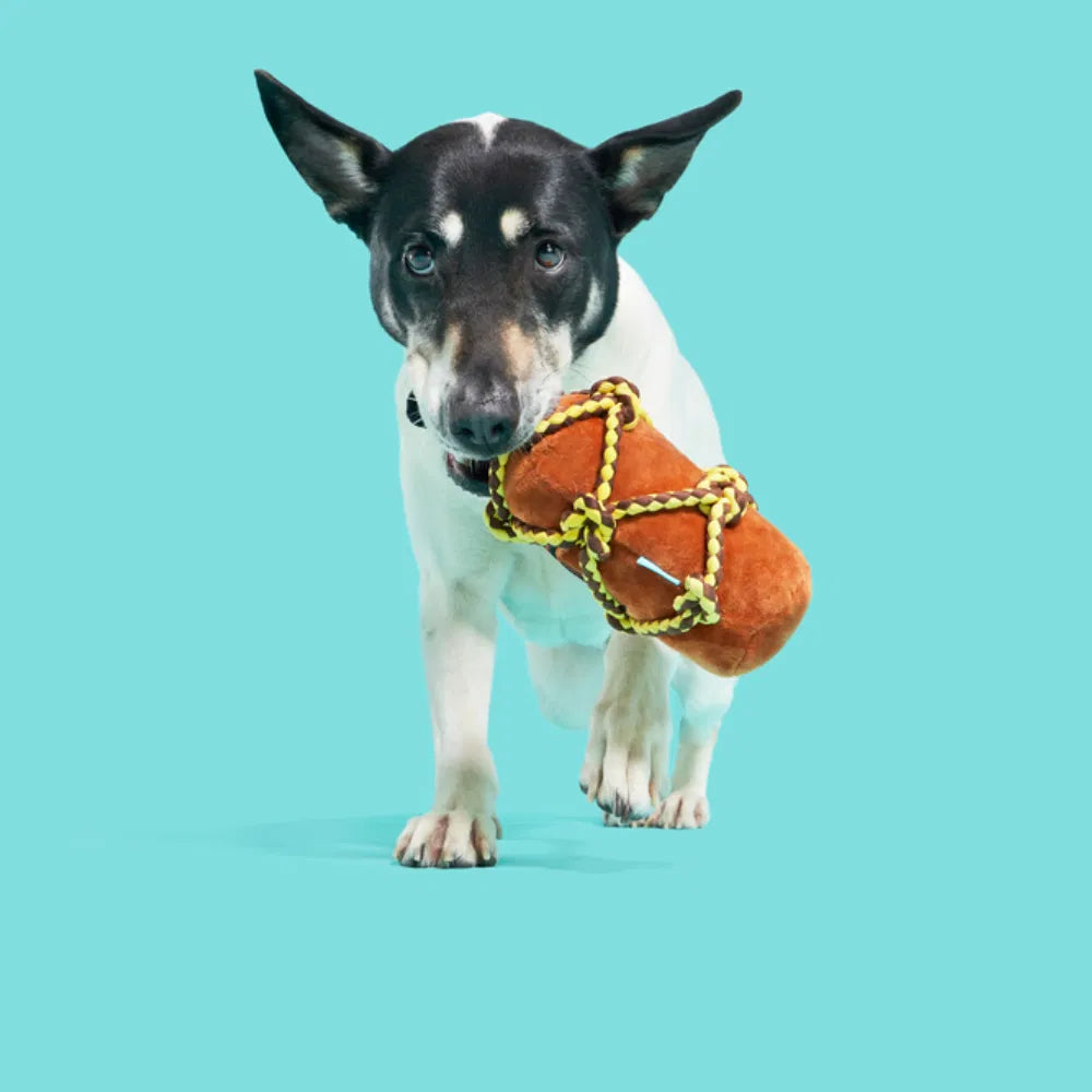 BARK BARKbeard''S Rum Dog Toy