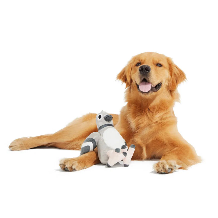 BARK Flappin Flossie Dog Toy