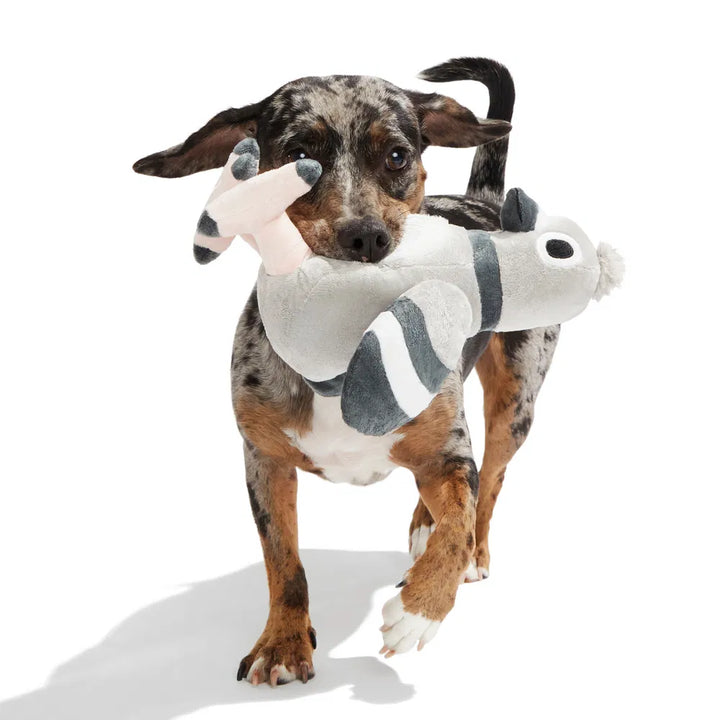 BARK Flappin Flossie Dog Toy