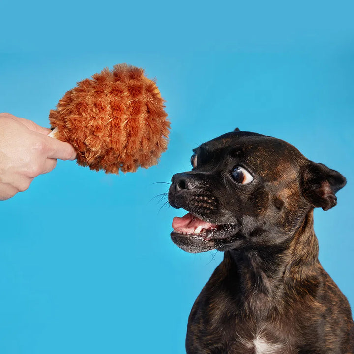 BARK Tavern Turkey Leg Dog Toy