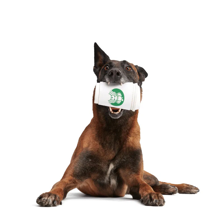 BARK Pupkin Spice Yappucino Dog Toy