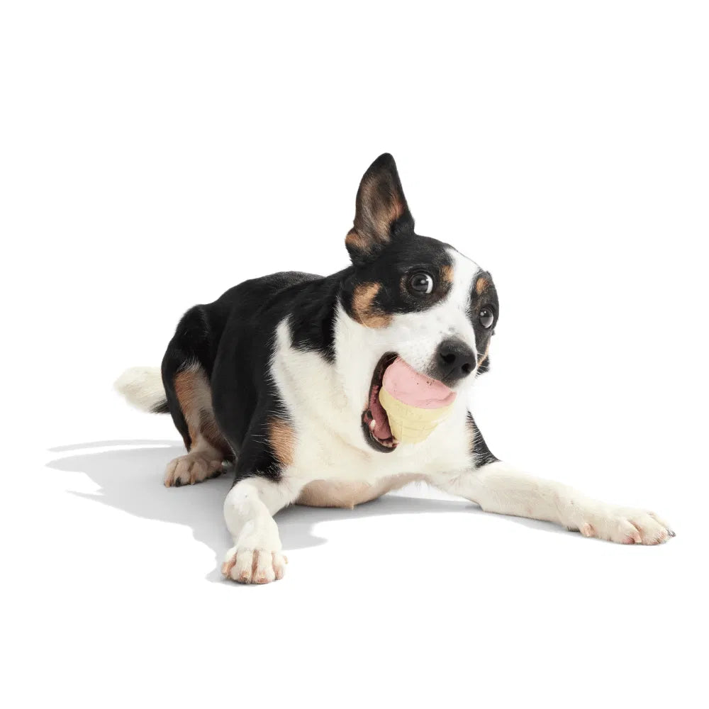 BARK I-Squeak Cone Dog Toy