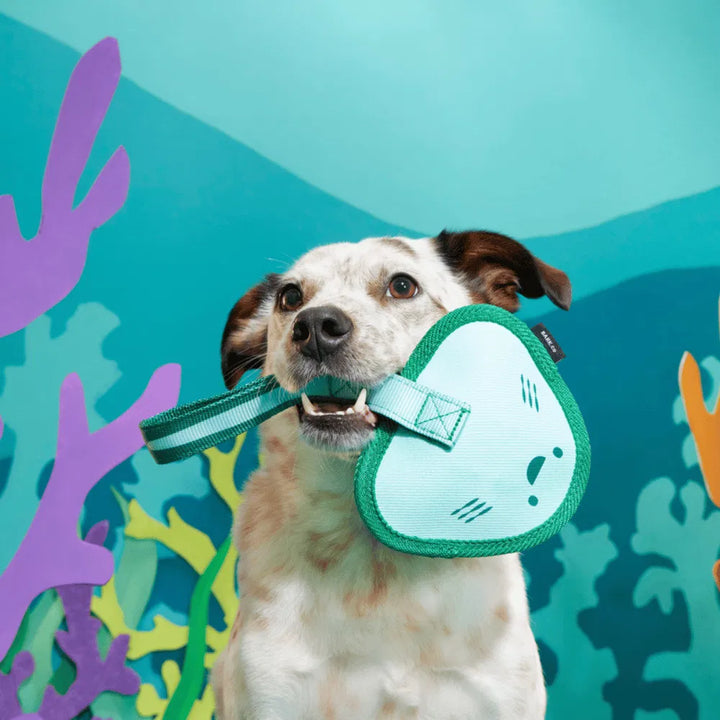 BARK Flingray Dog Toy