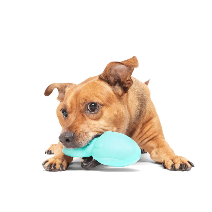BARK Whiz Squid Dog Toy