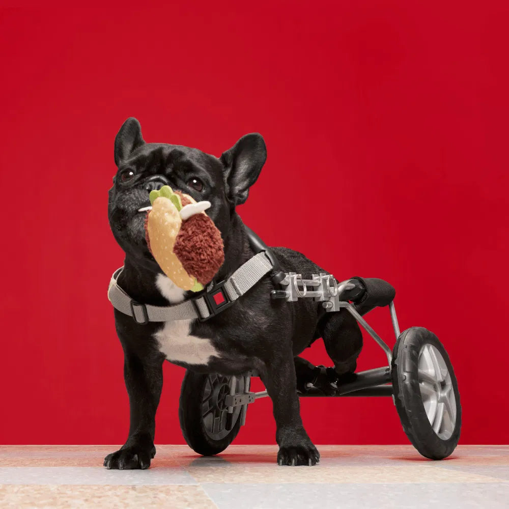 BARK Turkey BARKer Dog Toy