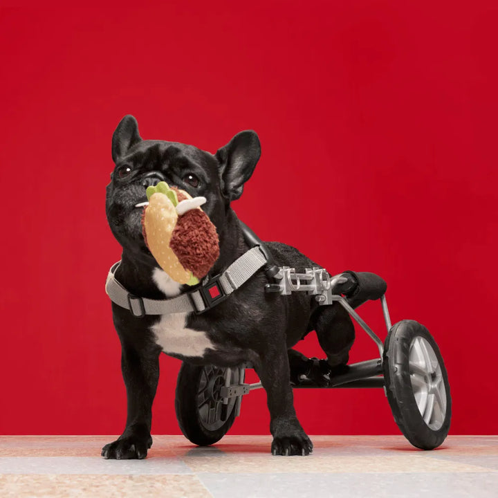 BARK Turkey BARKer Dog Toy
