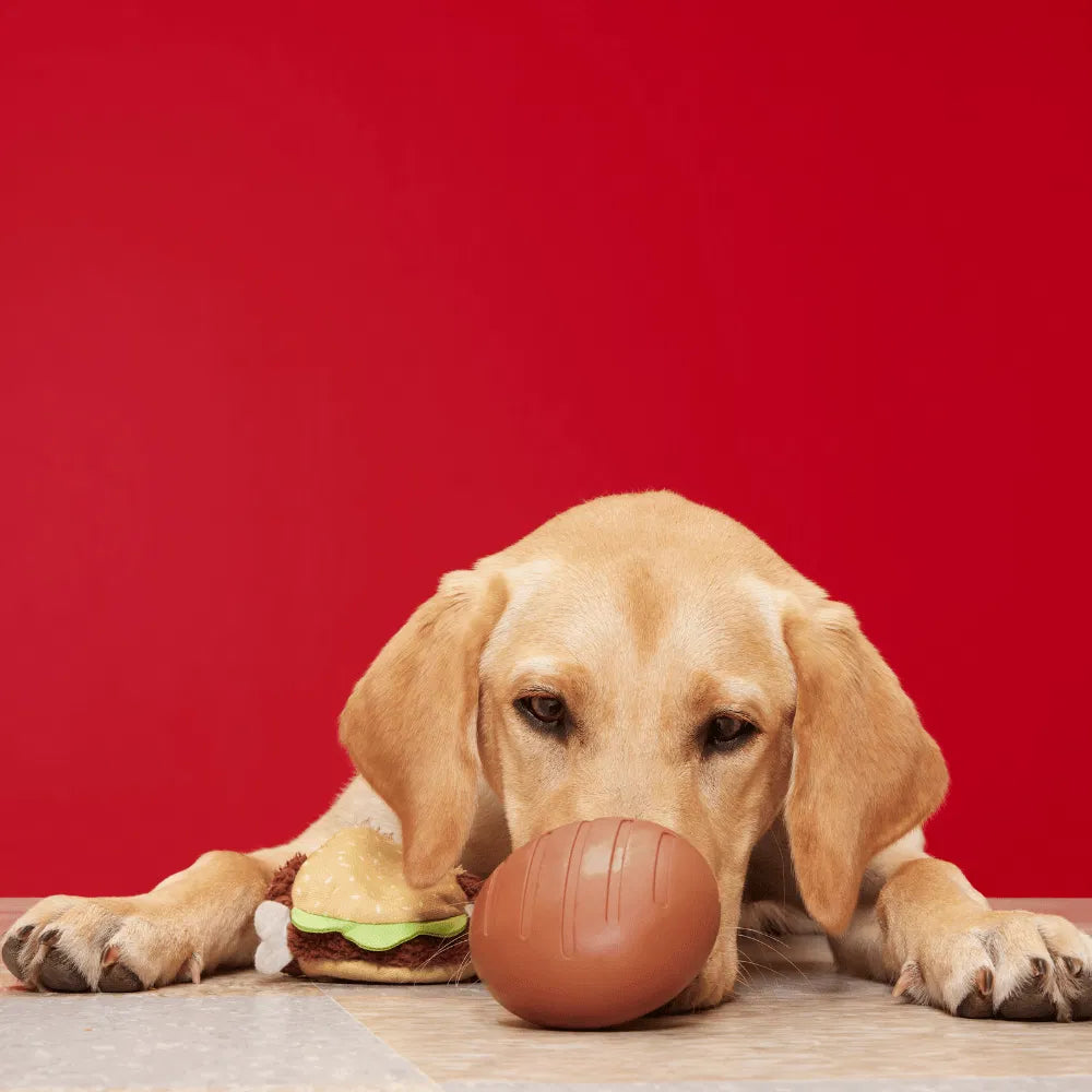 BARK Turkey BARKer Dog Toy