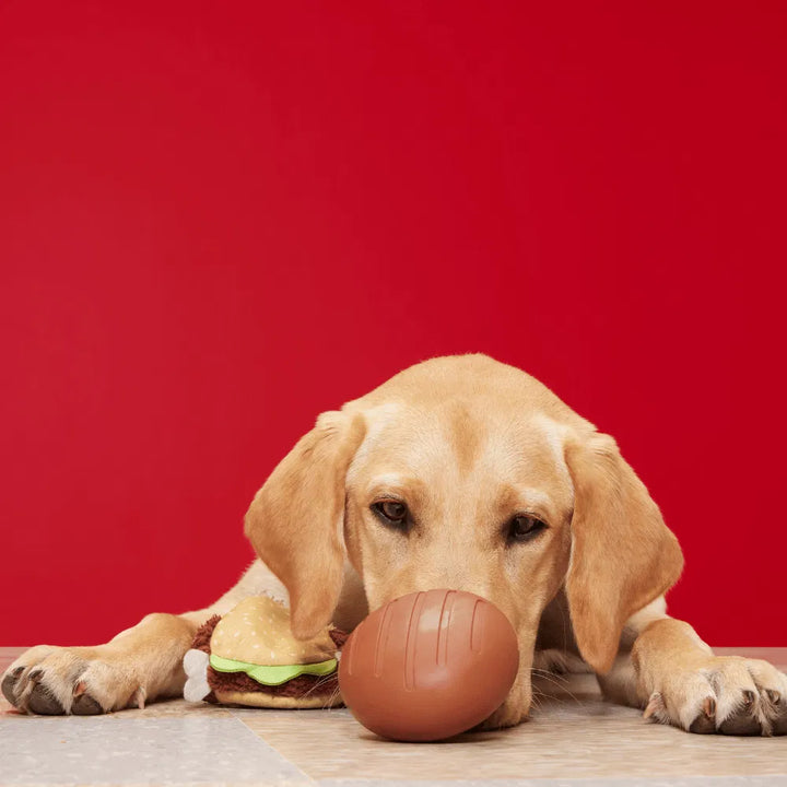 BARK Turkey BARKer Dog Toy