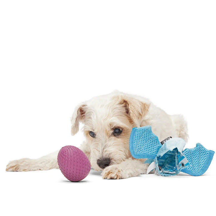 BARK Brrrtha The Dragon Dog Toy