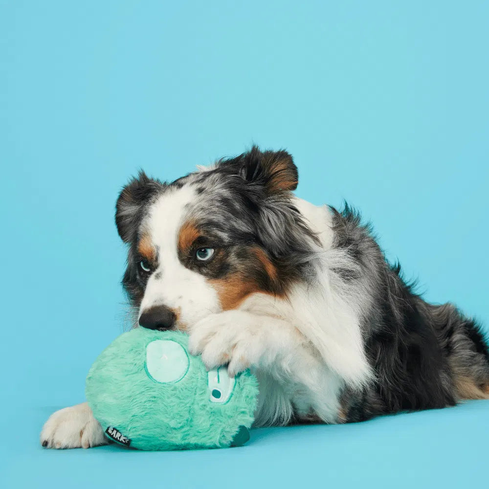 BARK Aurora Beast Dog Toy