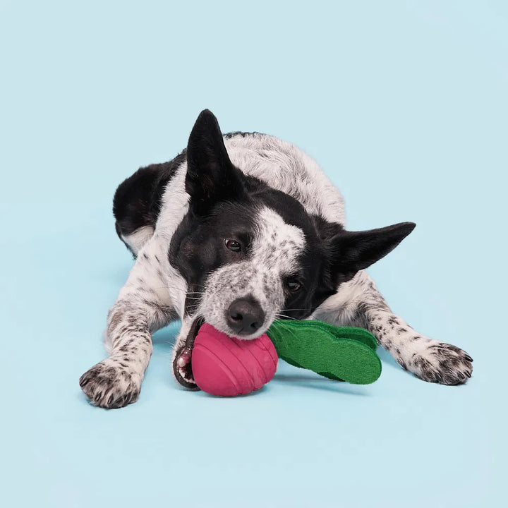 BARK Turnt Up Turnip Dog Toy