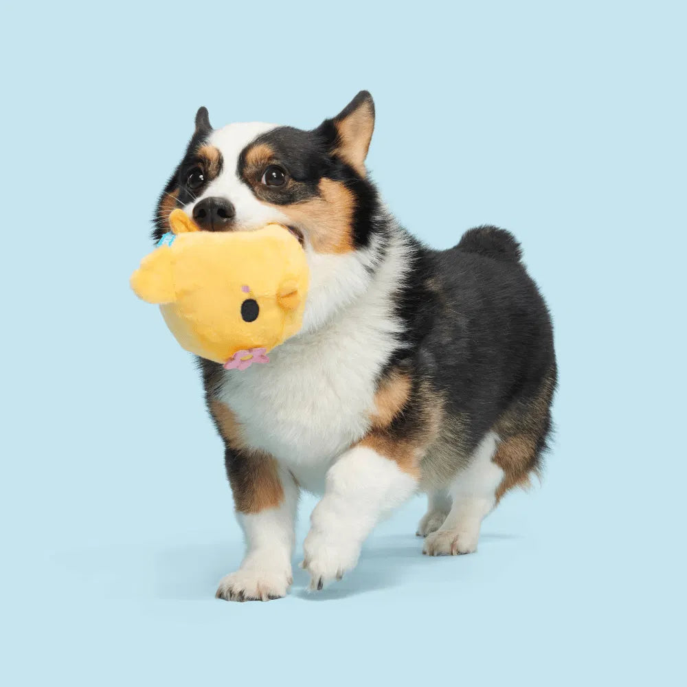 BARK Lil Hennifer Dog Toy