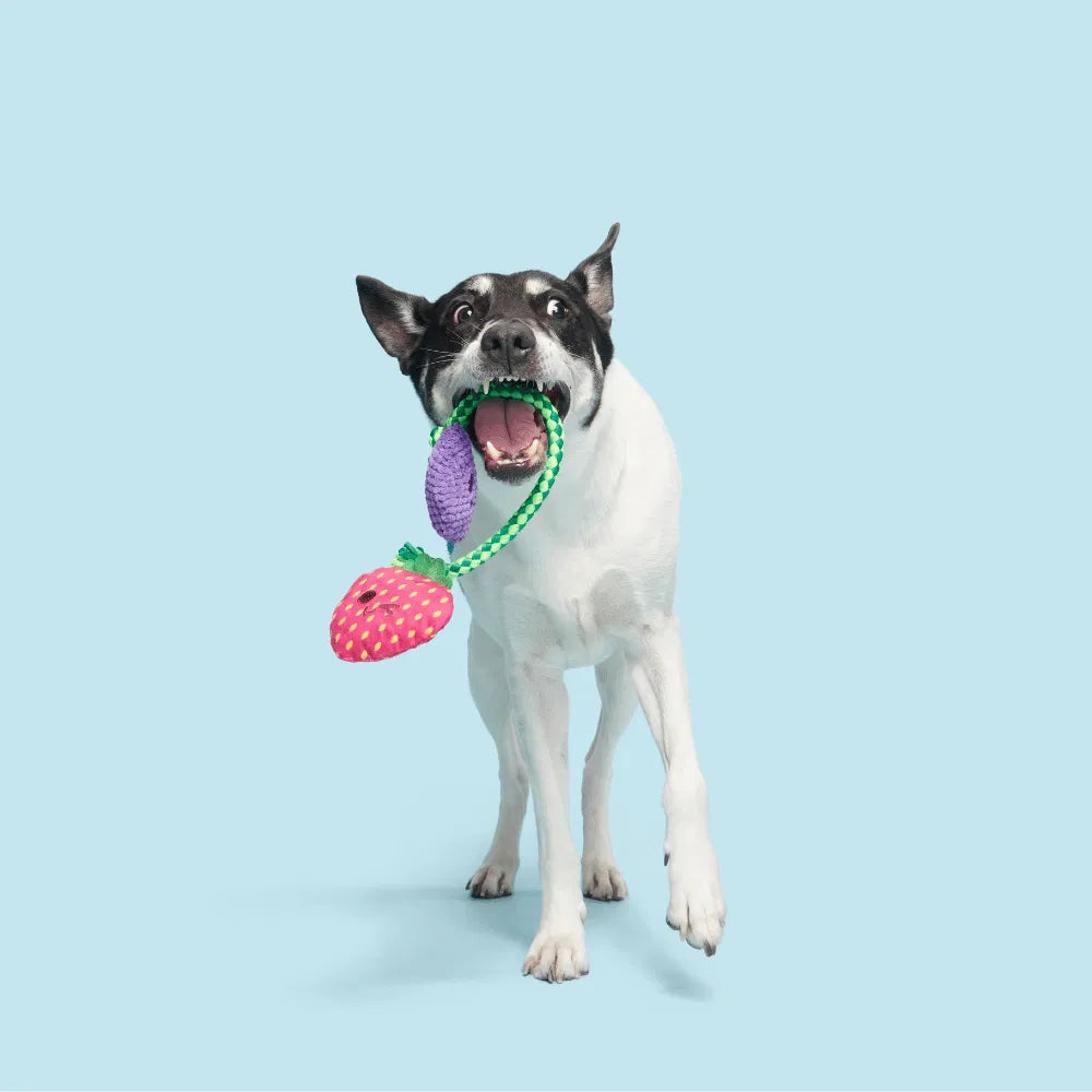 BARK Best Berry Friends Dog Toy
