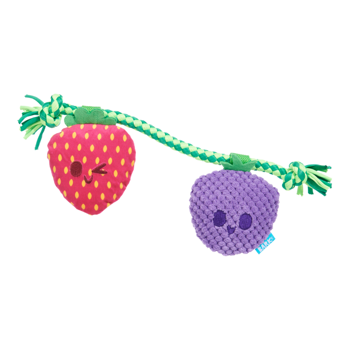 BARK Best Berry Friends Dog Toy