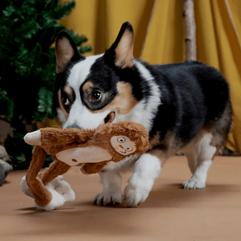 BARK Hairy Henderson Dog Toy