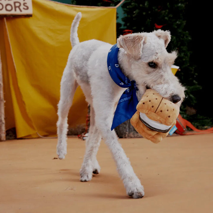 BARK More SMores Dog Toy