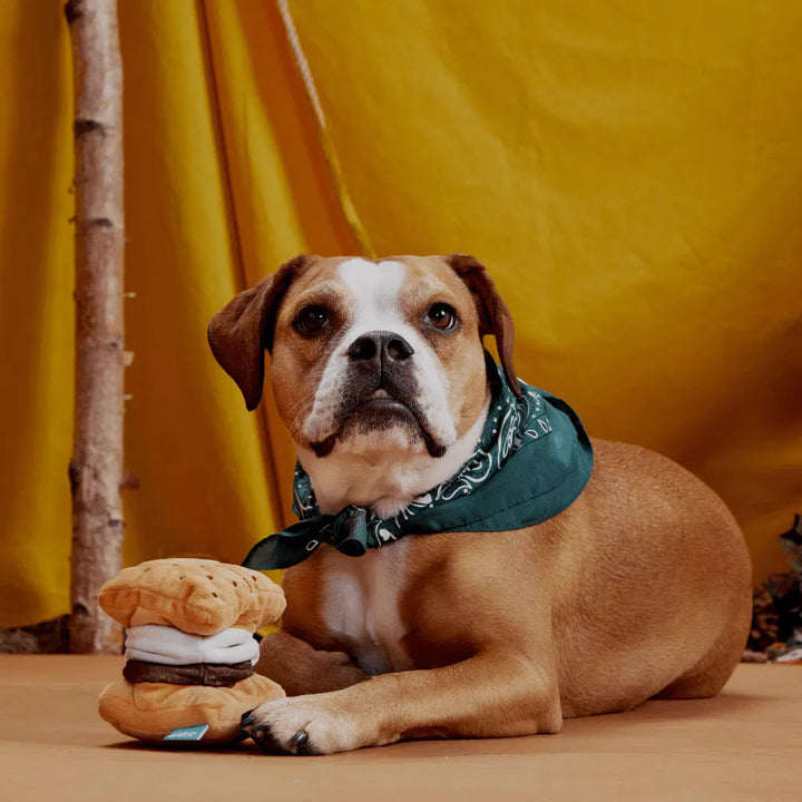 BARK More SMores Dog Toy