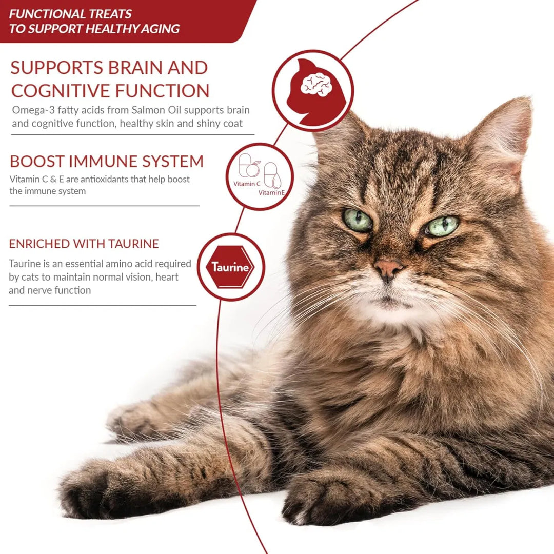 Churu Senior Tuna Recipe Cat Treats 4x14g