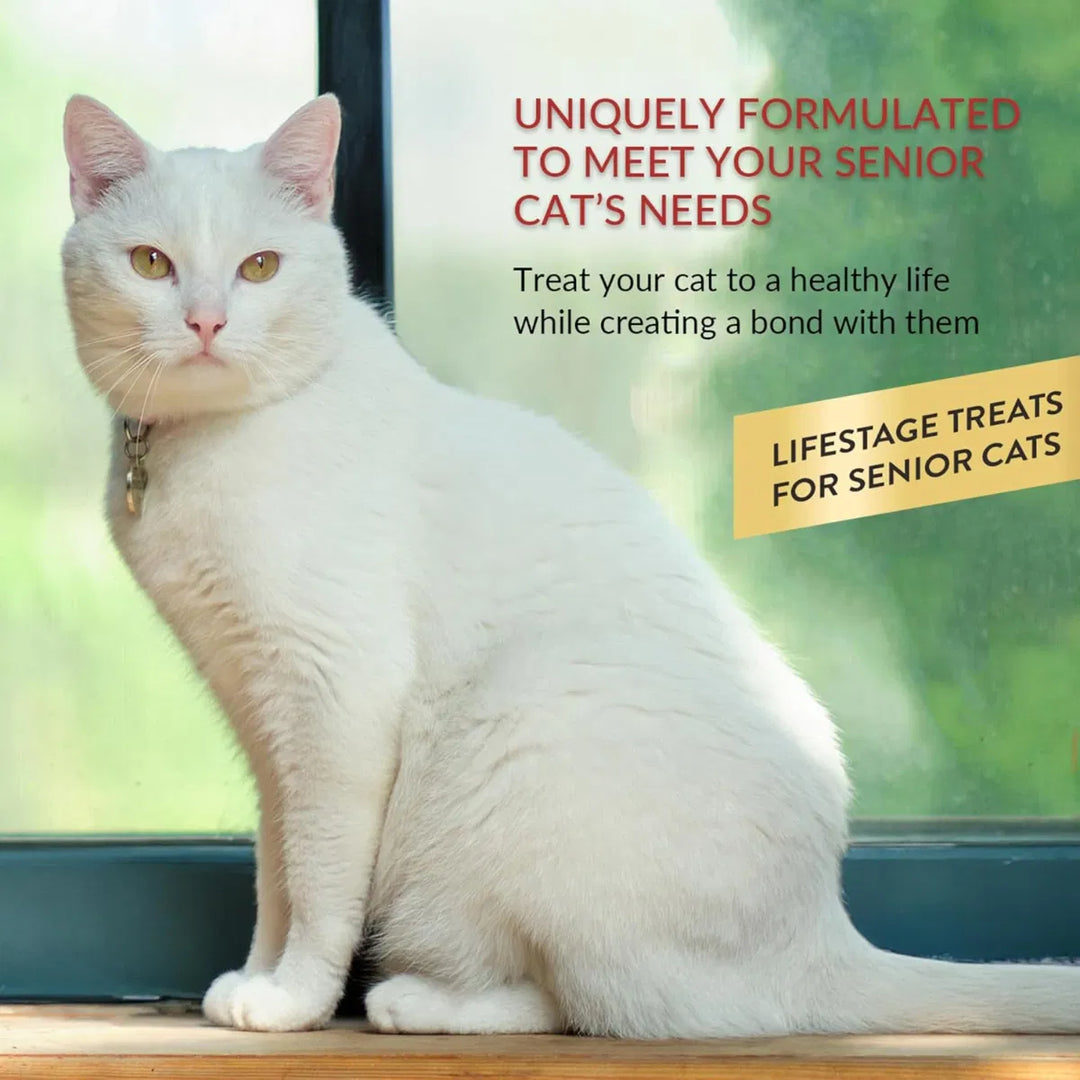 Churu Senior Chicken Recipe Cat Treats 4x14g