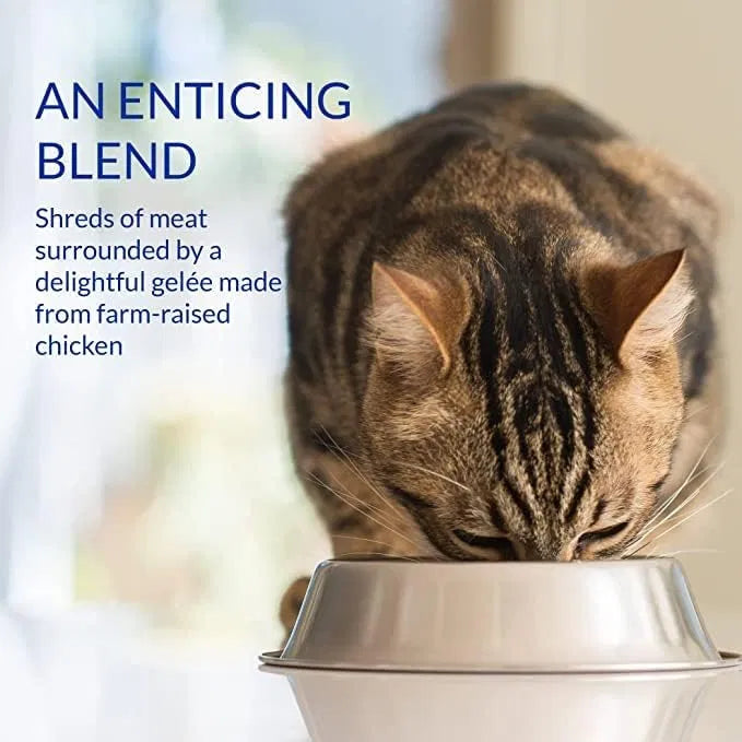 CIAO Stew Chicken & Tuna Recipe Cat Wet Pouches 40gx12