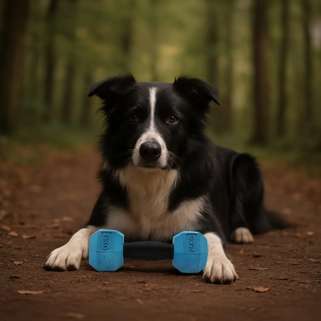 Nike Grind MaxFusion Dumbell