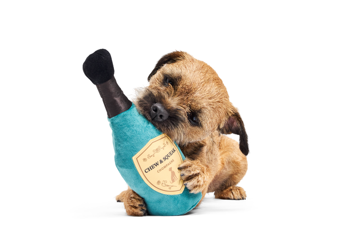 Bark Crufts Winner's Chompagne