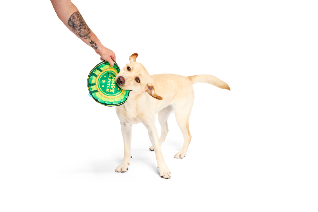 Bark Crufts Throwsette Disc