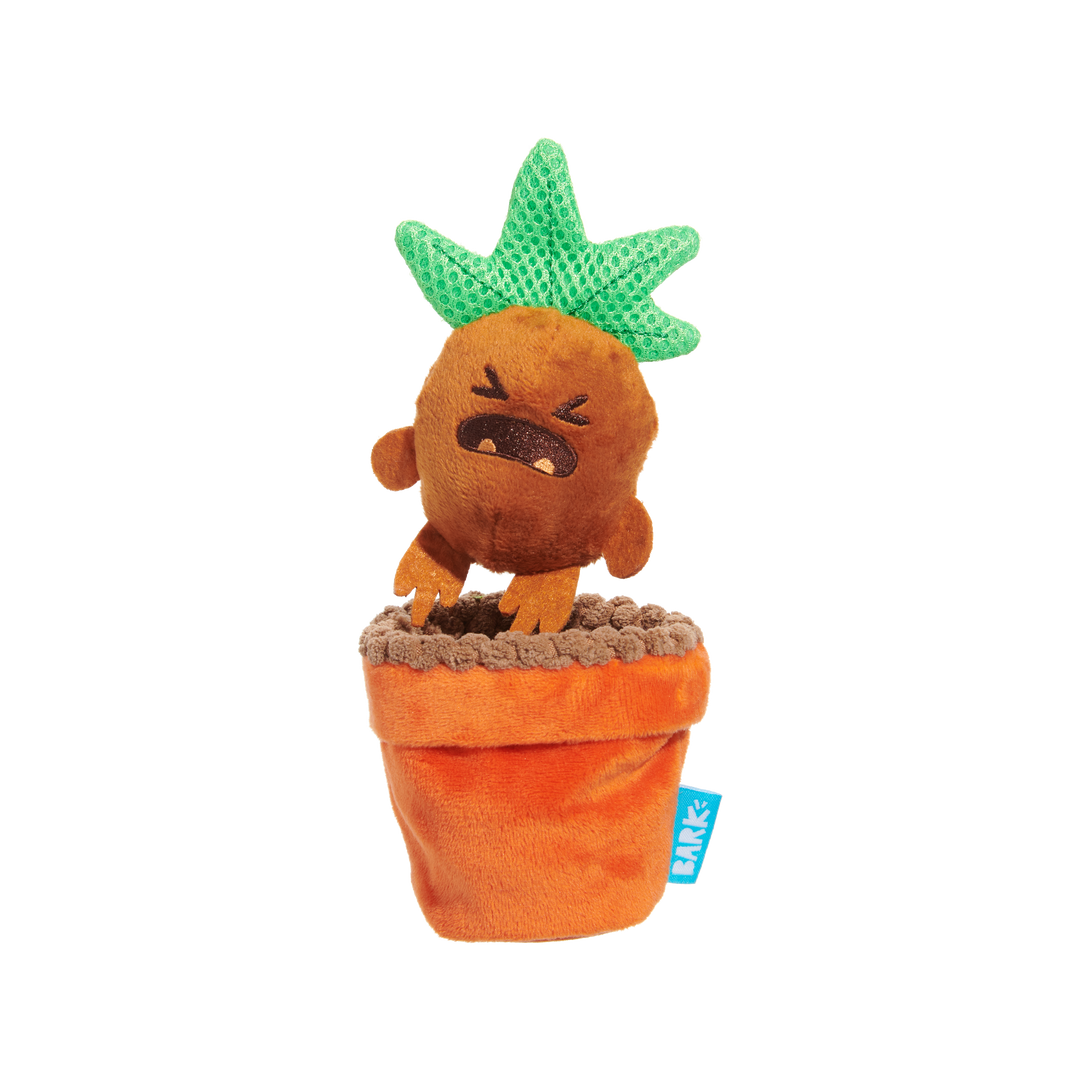 Bark Harry Potter Mandrake