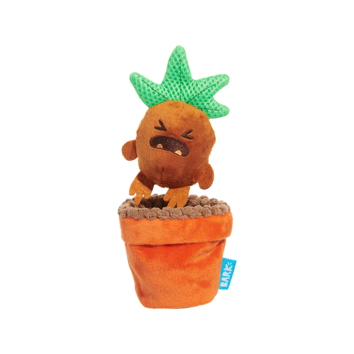 Bark Harry Potter Mandrake