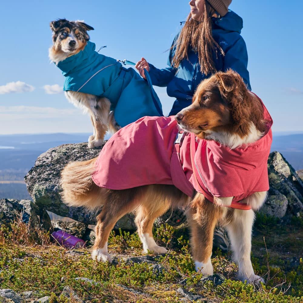 Hurtta Expedition Parka II Blackberry