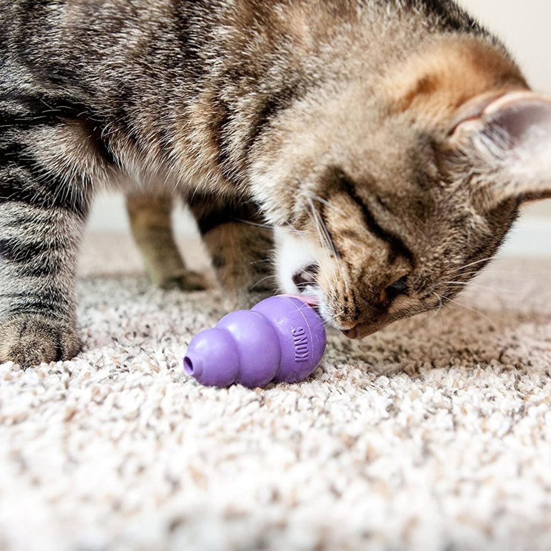 KONG Kitty KONG
