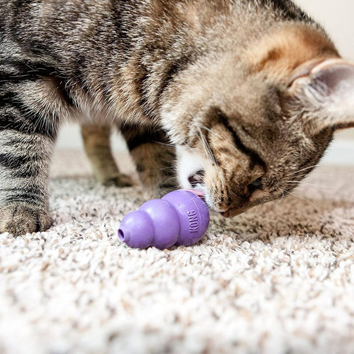 KONG Kitty KONG