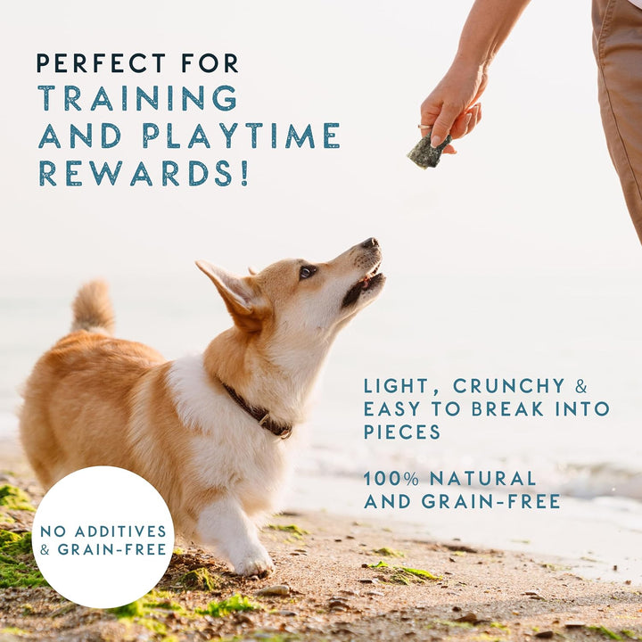 Elkwood 100% Natural Cod Fish Skin Strips for Dogs 120g