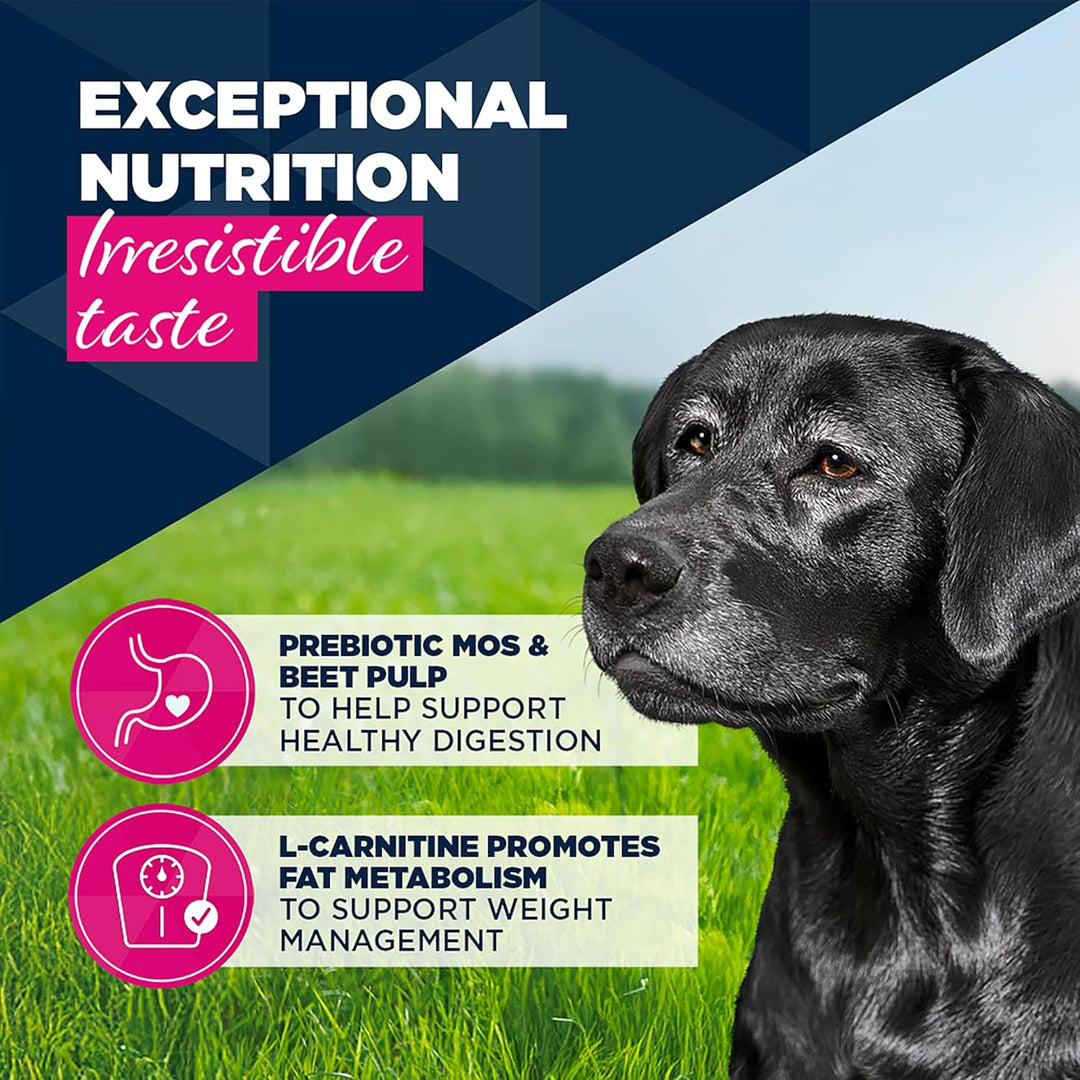 Eukanuba Cans 7+ Years Senior Dog Turkey &amp; Carrots 6 X 400G