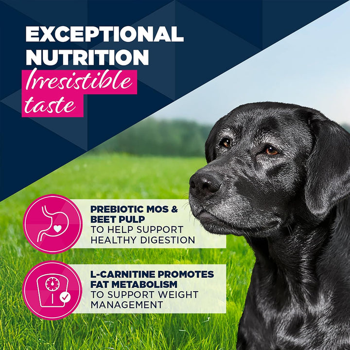 Eukanuba Cans 7+ Years Senior Dog Turkey &amp; Carrots 6 X 400G